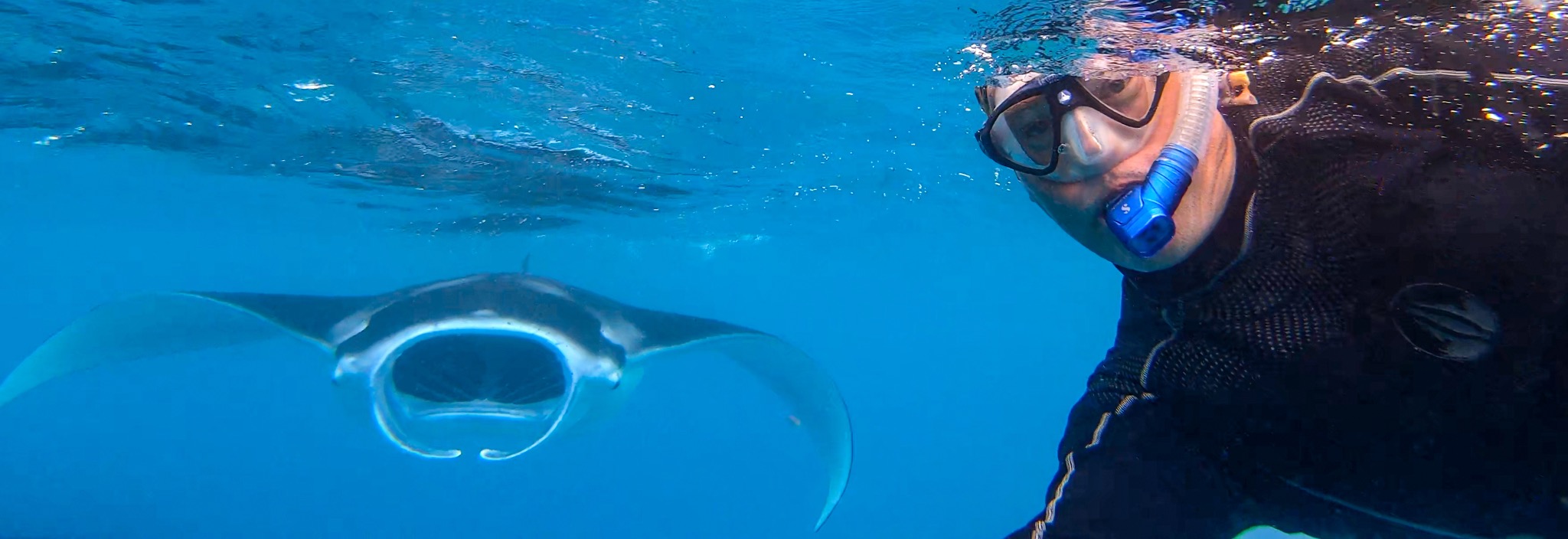 CJ Viggers swimming beside a manta ray